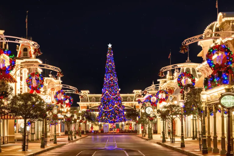 Disney’s 20th Anniversary & Christmas Magic