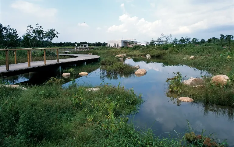Hong Kong Wetland Park