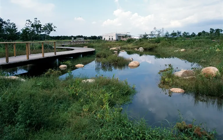 ウェットランドパーク/湿地公園