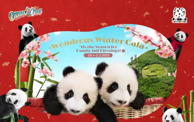 'Tis the Season for Panda-full Blessings!