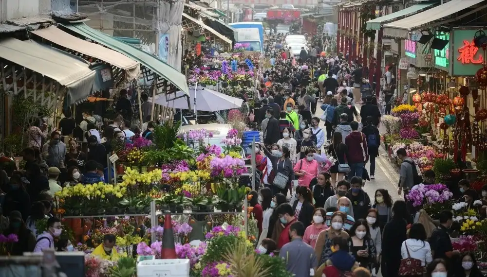 An aerial view of the Mong Kok flower market